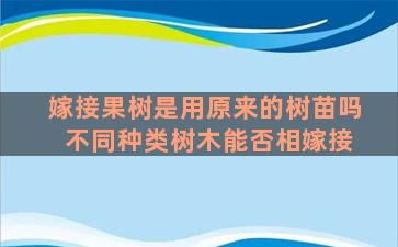 嫁接果树是用原来的树苗吗 不同种类树木能否相嫁接